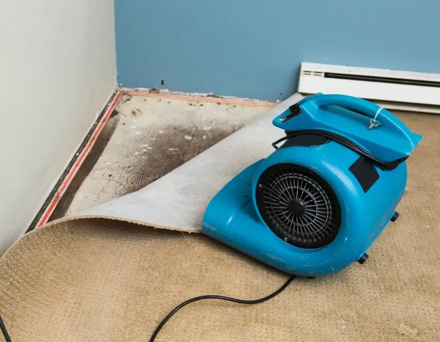 Water Damage Restoration Services